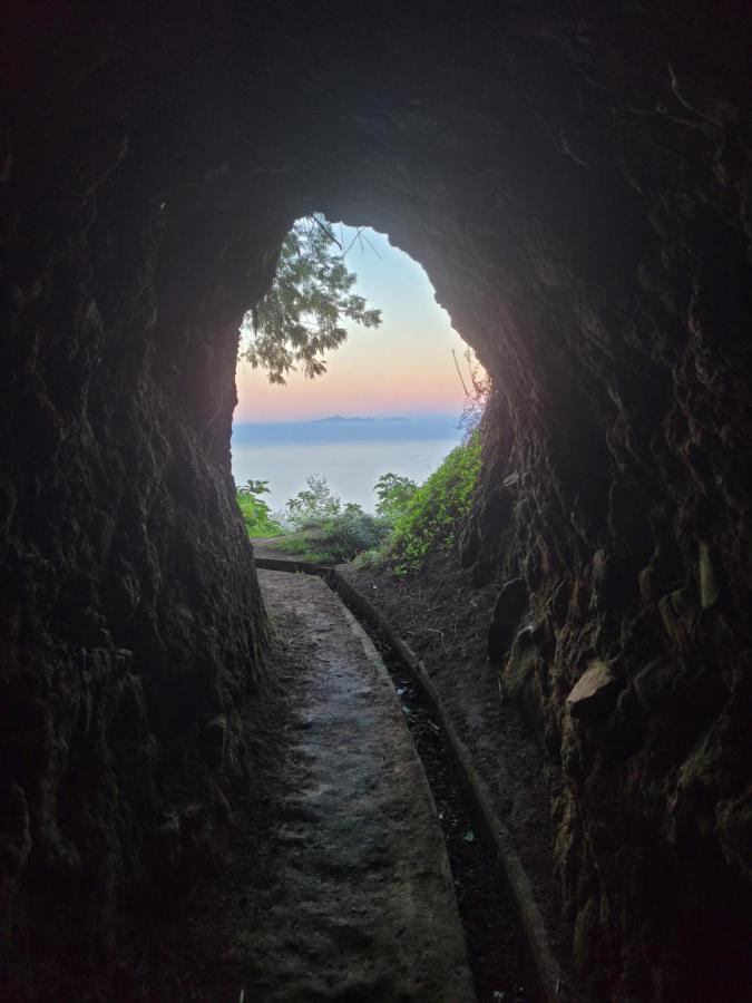 Sleep And Go In Santana In Nature B&B المظهر الخارجي الصورة